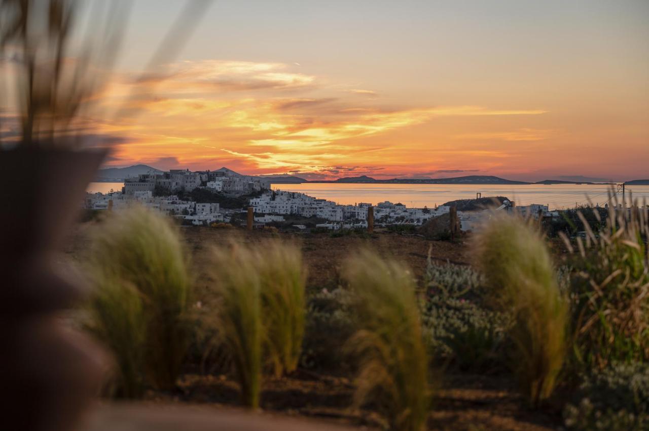 Opuntia Suites Naxos City Exterior photo